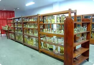 动物科技学院